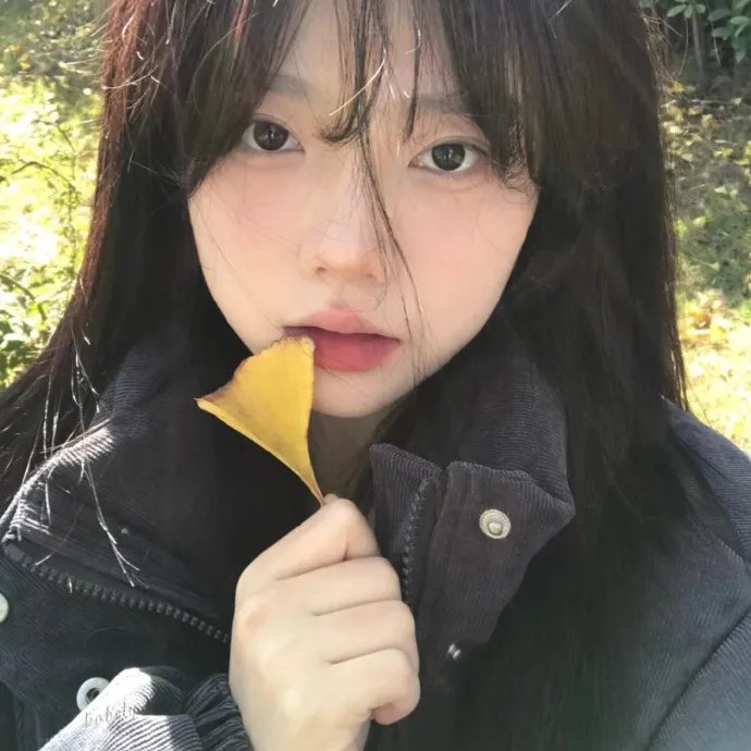 格子间女人